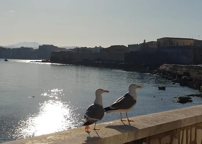 דירה Sale E Luce *